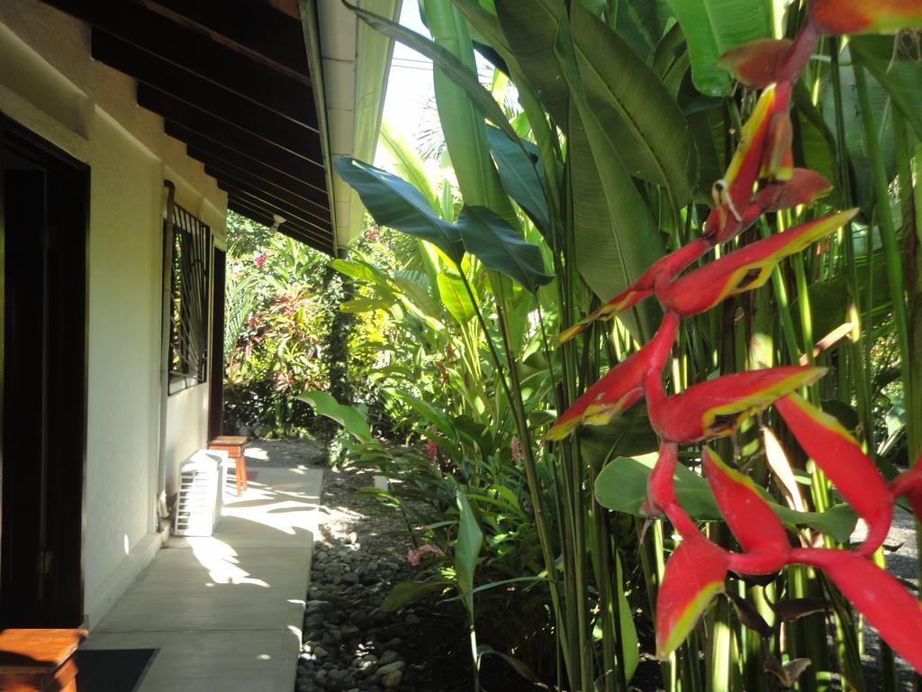 Cabinas Tropicales 호텔 Puerto Jiménez 객실 사진