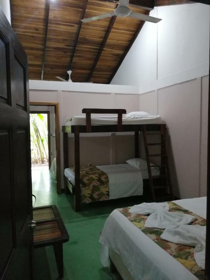 Cabinas Tropicales 호텔 Puerto Jiménez 외부 사진